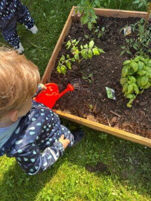 Jardin-potager-Mayran