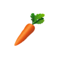 <h5>Mini-potagers</h4>Planter, observer, voir pousser, récolter.. et manger !